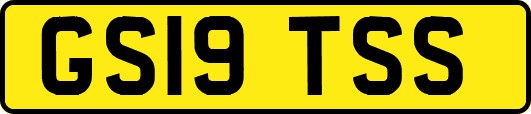 GS19TSS