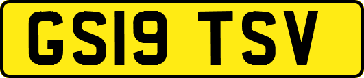 GS19TSV