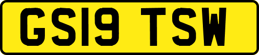 GS19TSW