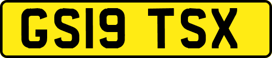 GS19TSX