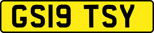 GS19TSY