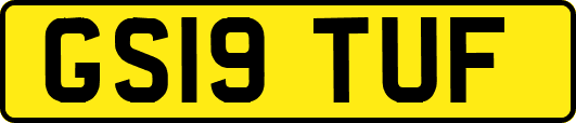 GS19TUF