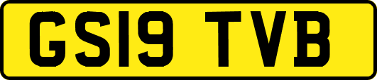 GS19TVB