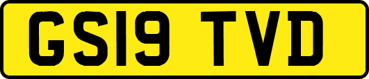GS19TVD