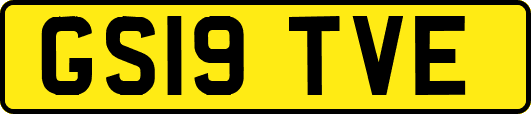 GS19TVE