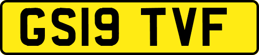 GS19TVF