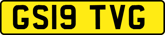 GS19TVG