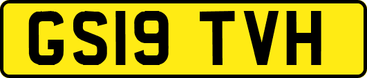 GS19TVH