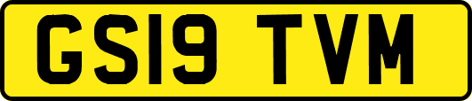 GS19TVM