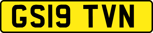 GS19TVN