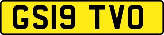 GS19TVO
