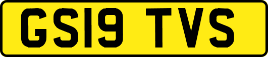 GS19TVS