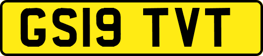 GS19TVT