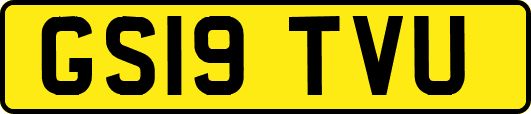 GS19TVU