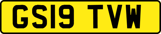 GS19TVW