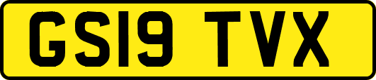 GS19TVX