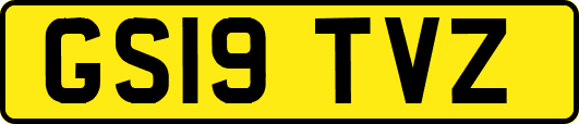 GS19TVZ