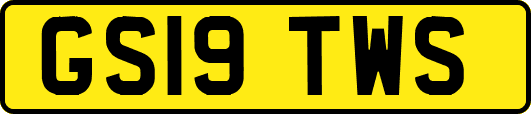 GS19TWS