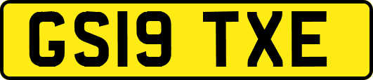 GS19TXE