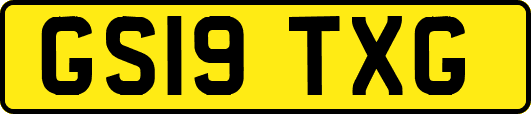 GS19TXG