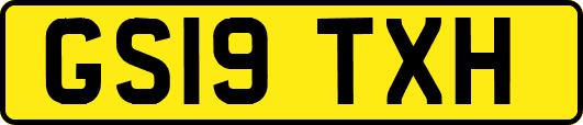 GS19TXH