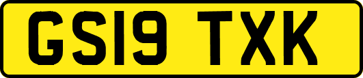 GS19TXK