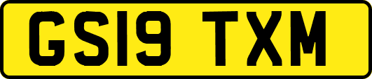 GS19TXM