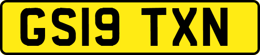 GS19TXN