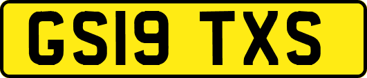 GS19TXS