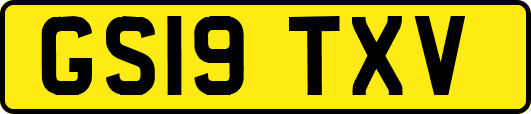 GS19TXV