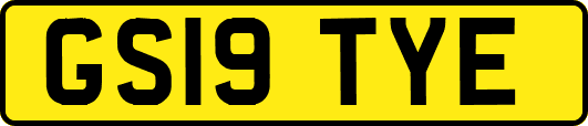 GS19TYE