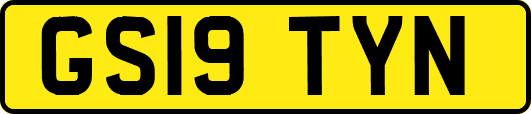 GS19TYN