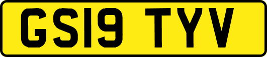 GS19TYV