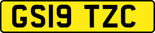 GS19TZC