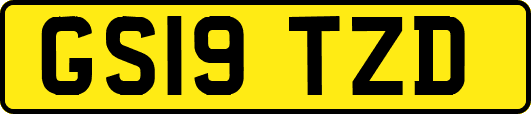 GS19TZD