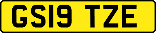 GS19TZE