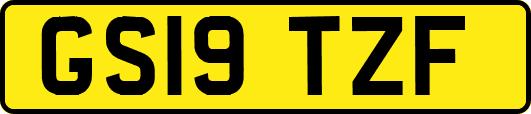 GS19TZF