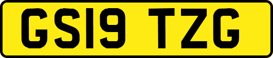 GS19TZG