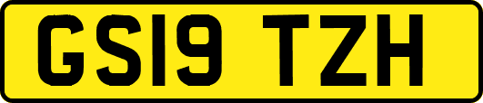 GS19TZH