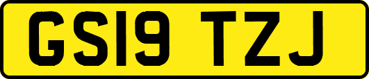 GS19TZJ