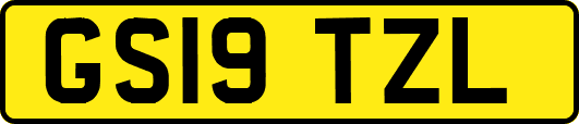 GS19TZL