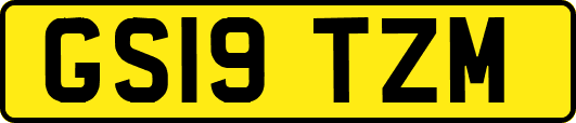 GS19TZM