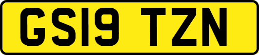 GS19TZN