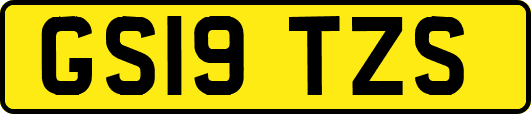 GS19TZS