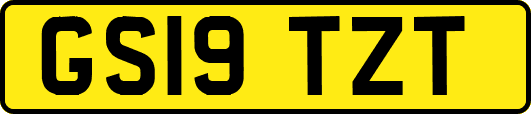 GS19TZT