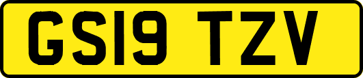 GS19TZV