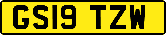 GS19TZW