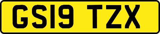 GS19TZX