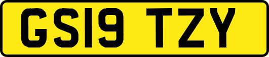 GS19TZY