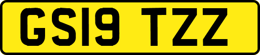 GS19TZZ